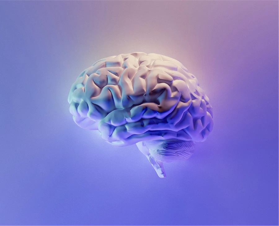 Custom software development — Webiados