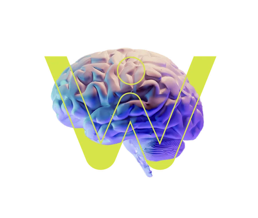 Cerebro Webiados con la W del logo